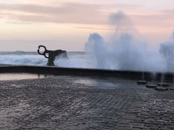View of a horse in the sea