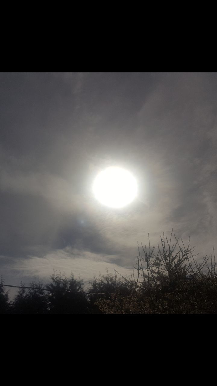 SUN SHINING THROUGH SILHOUETTE TREES