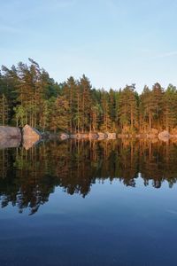 Scenic view of lake in forest against sky
