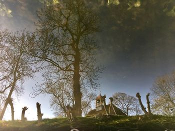 Low angle view of silhouette tree against sky