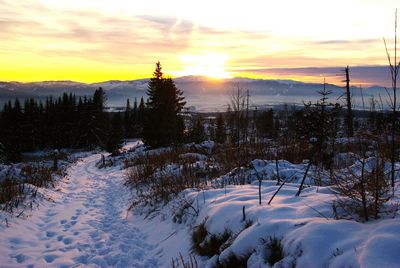 Scenic view of landscape against sky during sunset