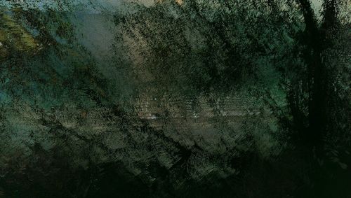 Full frame shot of tree against sky