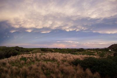 Scenic view of field against cloudy sky