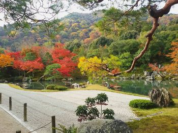 Scenic view of autumn trees against sky