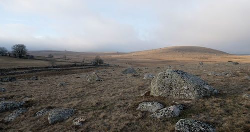 Scenic view of landscape against sky