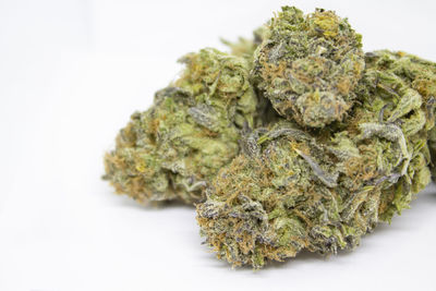 Close-up of marijuana against white background