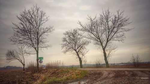 Bare tree on landscape against sky