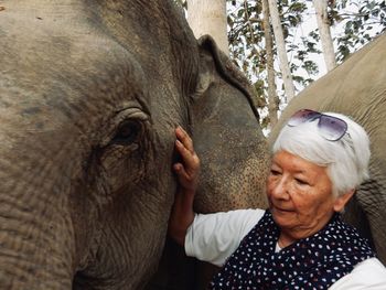 A quiet moment at the mandalao elephant sanctuary near luang prabang in laos.