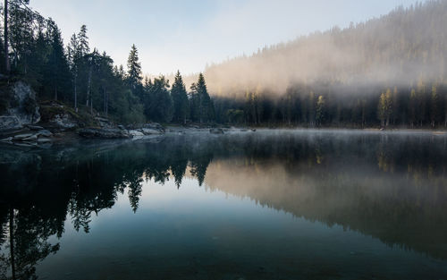 Scenic view of lake by trees against sky