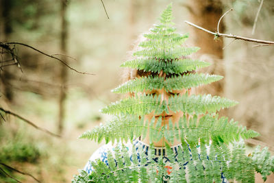 Close-up of person behind plant