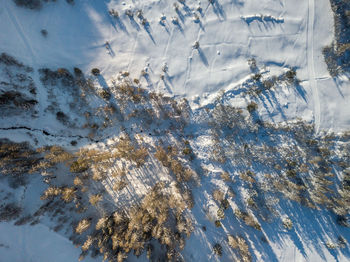 High angle view of frozen trees