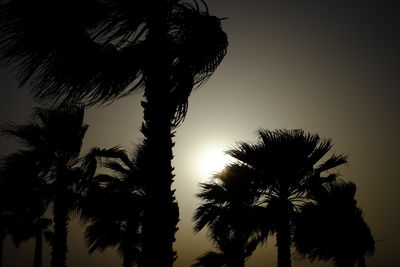 Low angle view of silhouette palm trees against clear sky