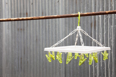 Close-up of rope hanging on fence