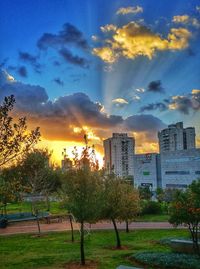 Trees and cityscape against sky during sunset