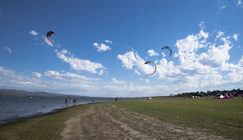 People paragliding over field against sky