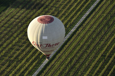 High angle view of balloons on field