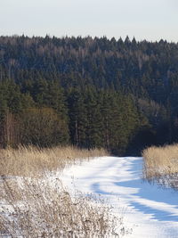 Scenic view of snow covered land against sky