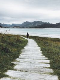 Rear view of man walking on shore by sea against sky