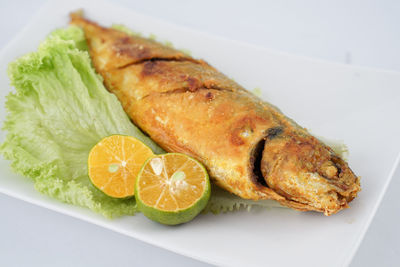 Close-up of food on table