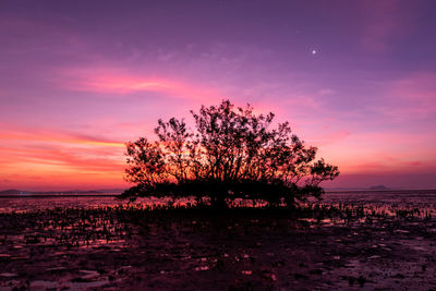 Silhouette tree on field against romantic sky at sunset