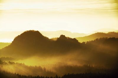 Sunrise in a beautiful mountain of czech-saxony switzerland. the fog is orange due to sun rays.