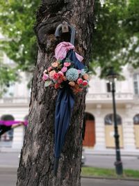 Close-up of pink flowers on tree trunk