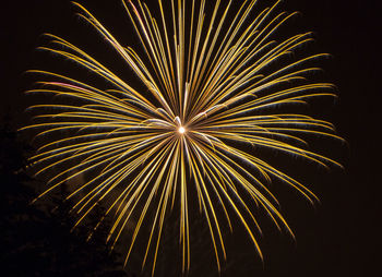 Low angle view of firework display at night