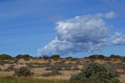 Panoramic view of landscape against sky