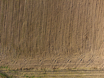 Full frame shot of agricultural field