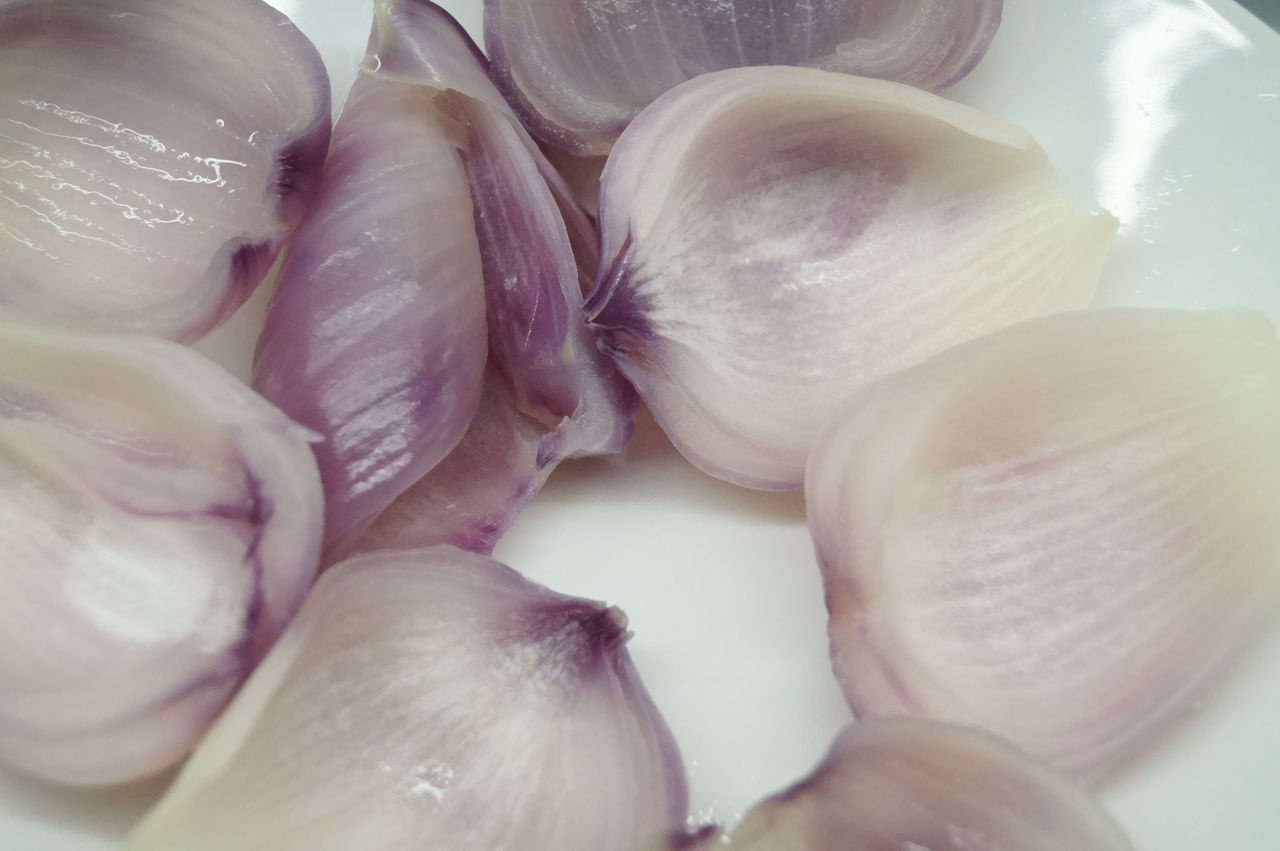 CLOSE UP OF VEGETABLES