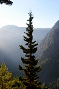 Scenic view of tree mountains against clear sky