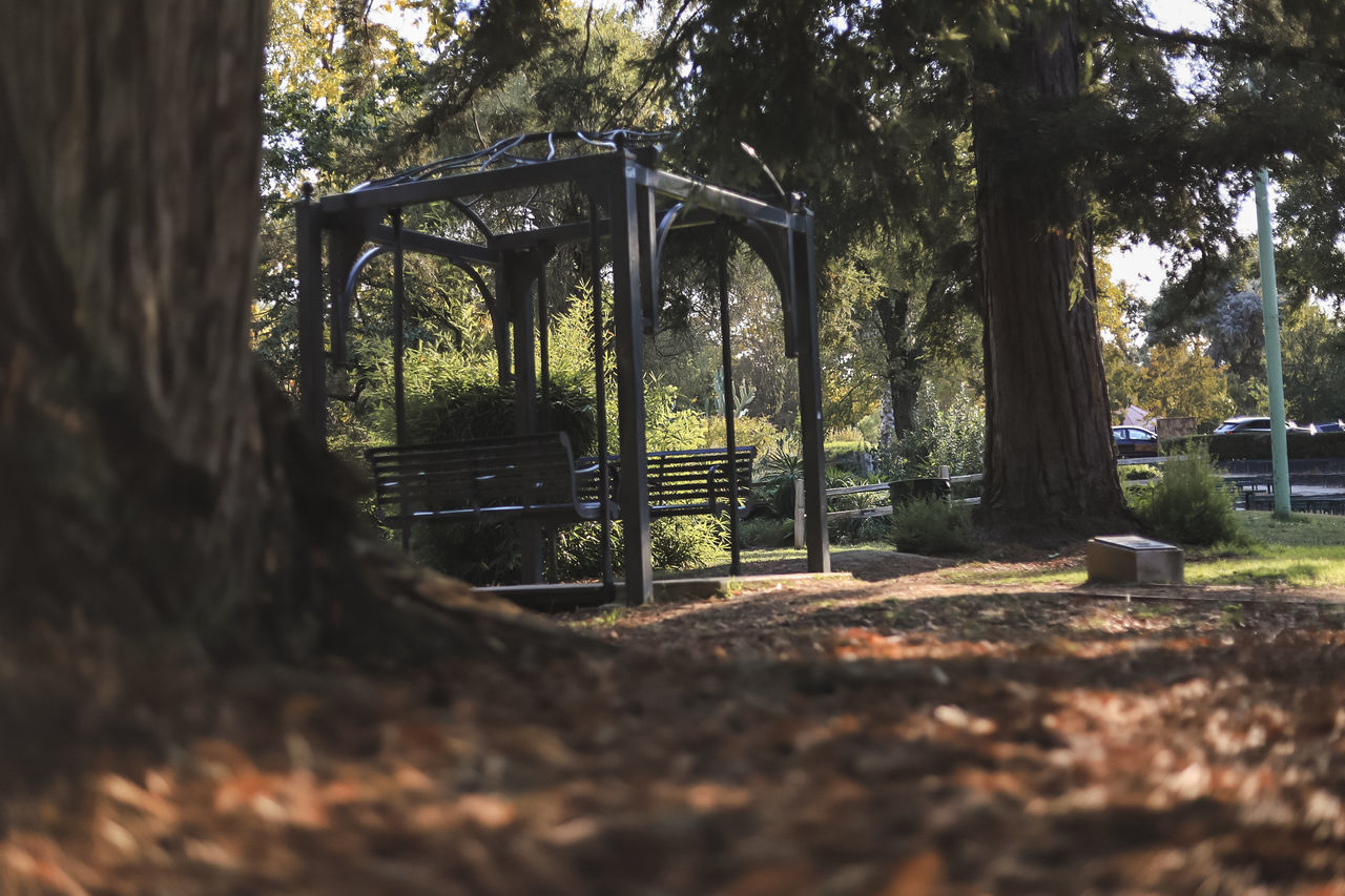 EMPTY BENCH IN FOREST