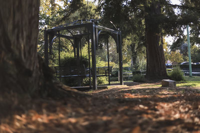 Empty bench in park