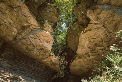 Close-up of rock formation