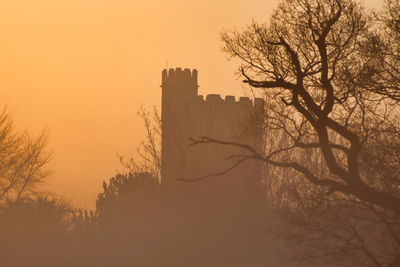 Silhouette tree and building against sky during sunset