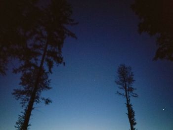 Low angle view of trees against blue sky