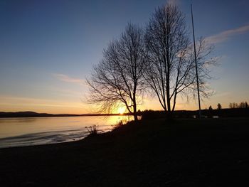 Silhouette tree on beach against sky during sunset