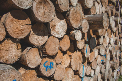 Full frame shot of logs in forest