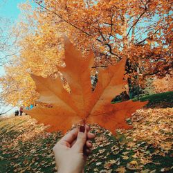 Cropped image of hand holding autumn leaves