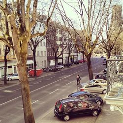 Cars parked on road