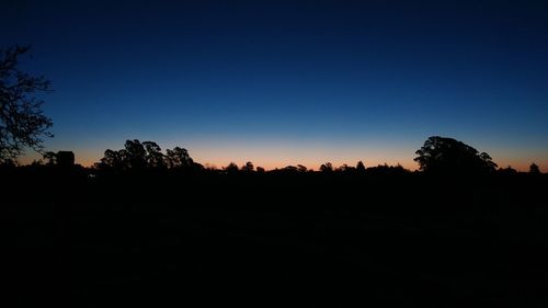 Silhouette trees against sky at sunset