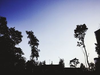 Silhouette trees against clear sky