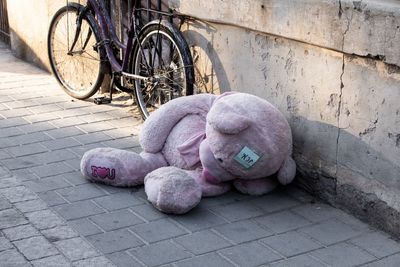 Stuffed toy on footpath