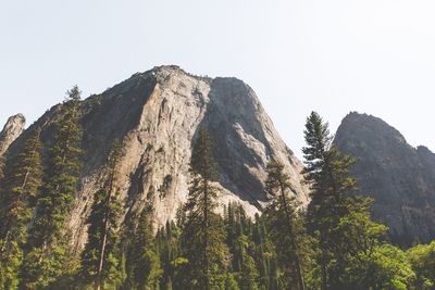 Low angle view of trees and mountains at yosemite national park