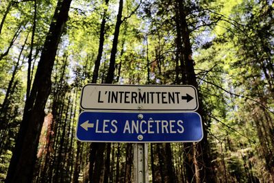 Low angle view of information sign on tree trunk in forest