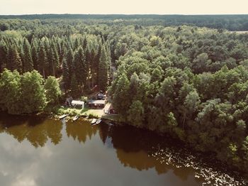 High angle view of lake amidst trees in forest