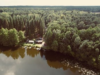 High angle view of lake amidst trees in forest