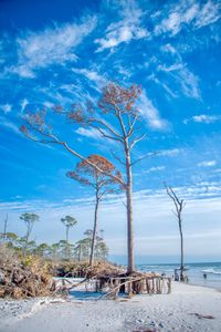 Scenic view of sea against blue sky