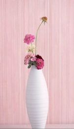 Close-up of pink flower vase against wall