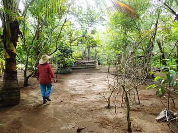 Rear view of woman walking on field amidst trees